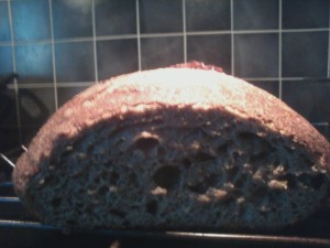 Bread made with some of my new flour. Still taking pictures with my phone.. sigh.